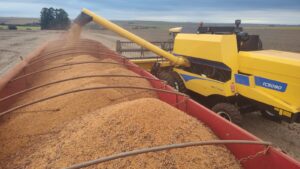 VBP: Ubiratã se destaca com o maior número do Valor Bruto da Produção da Comcam