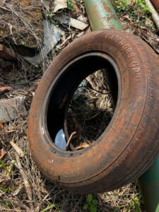 Índice de infestação por dengue atinge 5,1% em Ubiratã